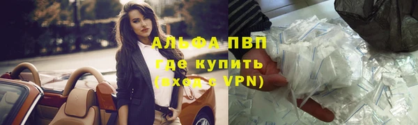 гидра Рославль