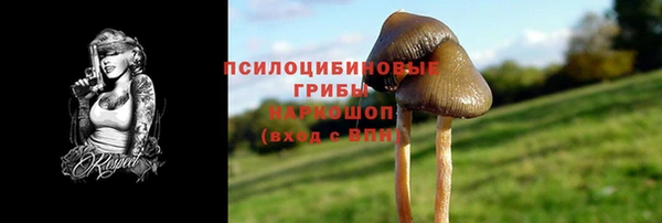 гидропоника Аркадак