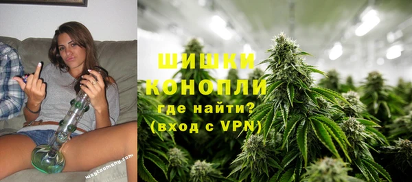 гидра Рославль