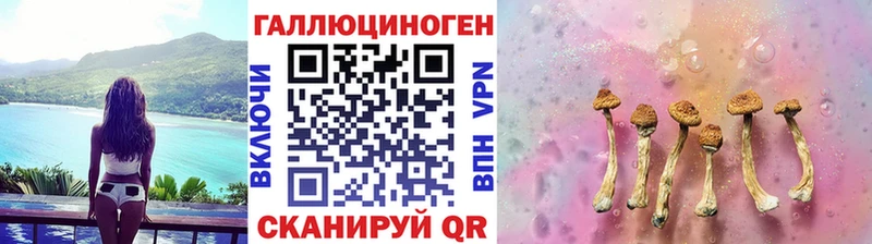 Галлюциногенные грибы Psilocybine cubensis  где найти наркотики  Талица 