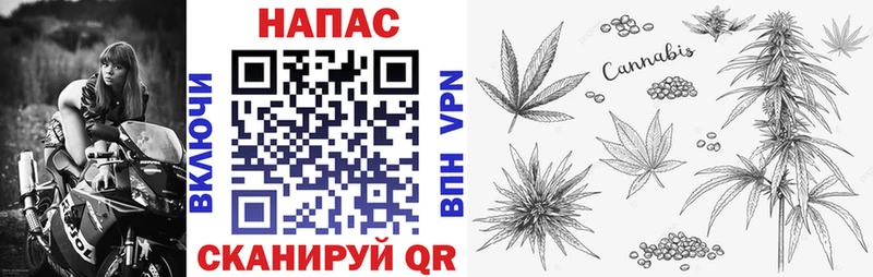 площадка телеграм  наркотики  Талица  Шишки марихуана индика 